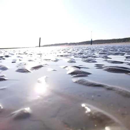 Hotel Ferienhaus-tide *